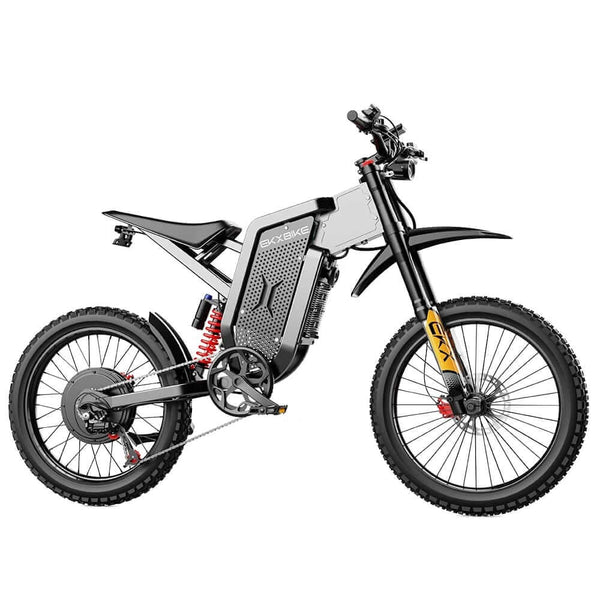 totem e-fully carry Hauler Fat Tire Electric Utility Bike 500W 48V 13AH Electric kettenschaltung Rahmenhöhe:47 CM