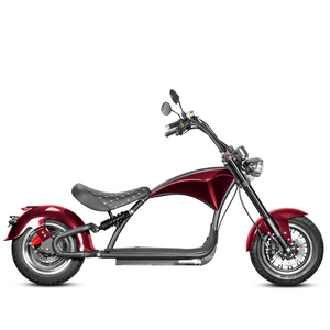 m1p citycoco scooter