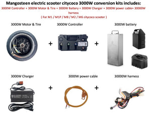 Mangosteen electric scooter citycoco 3000W conversion kits - CITI ESCOOTER
