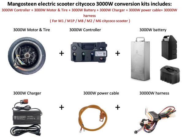 Mangosteen Wholesale Electric Chopper Motorcycle M1P - Mangosteen