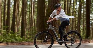 Cmacewheel KS26 electric bike review