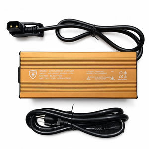 Eahora scooter M1P Fast Charger