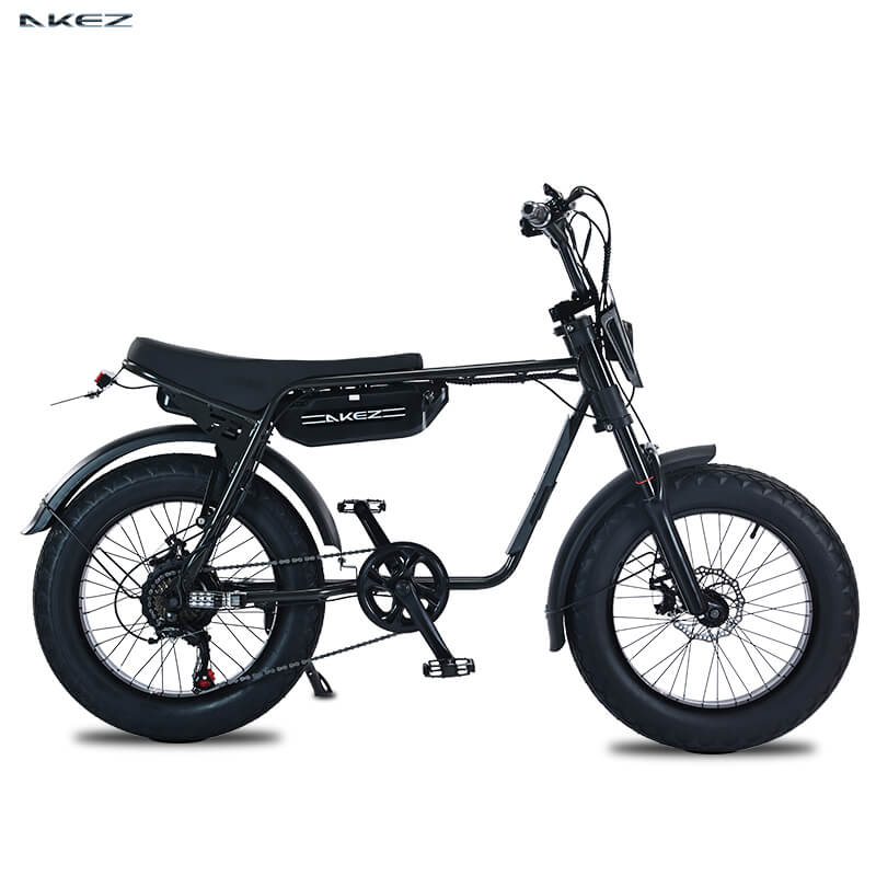 akij electric bicycle AKEZ ZX Electric Bike