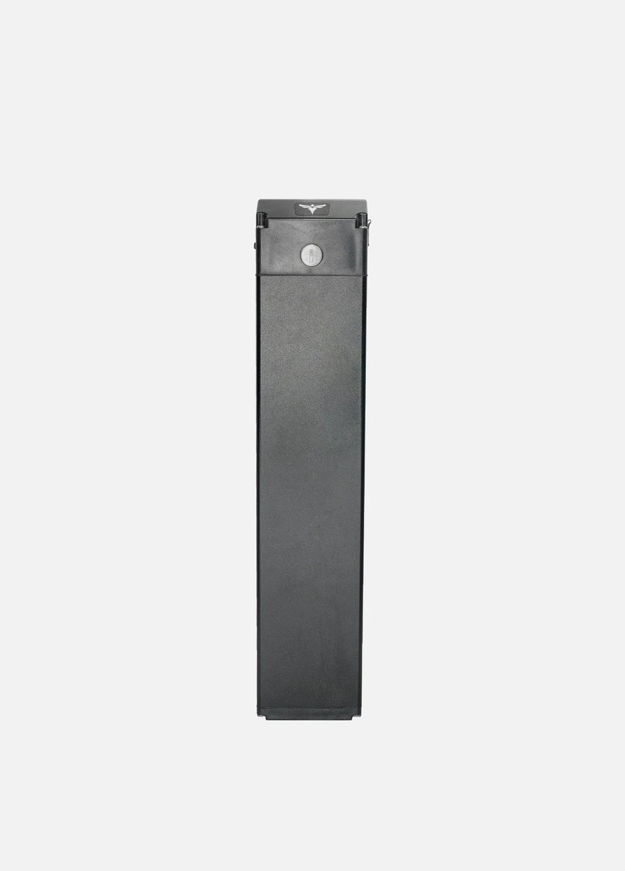 ENGWE EP-2 3.0 Battery