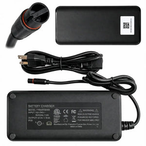 ENGWE M20 3.0 8A Fast Charger
