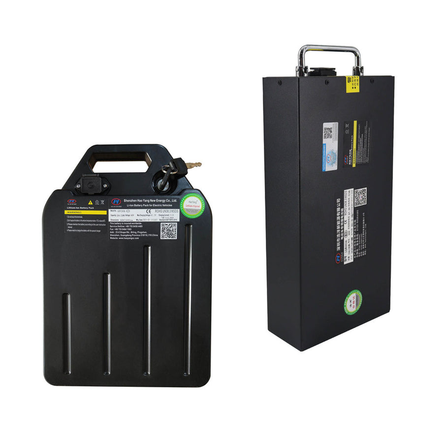 Citycoco Electric Scooter Battery