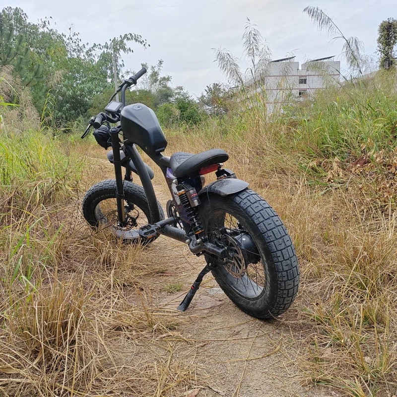 e bike chopper fahrrad Mantosteen e Bike Chopper