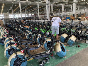 fanco scooter factory