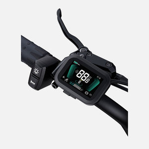ENGWE M20 2.0 Display