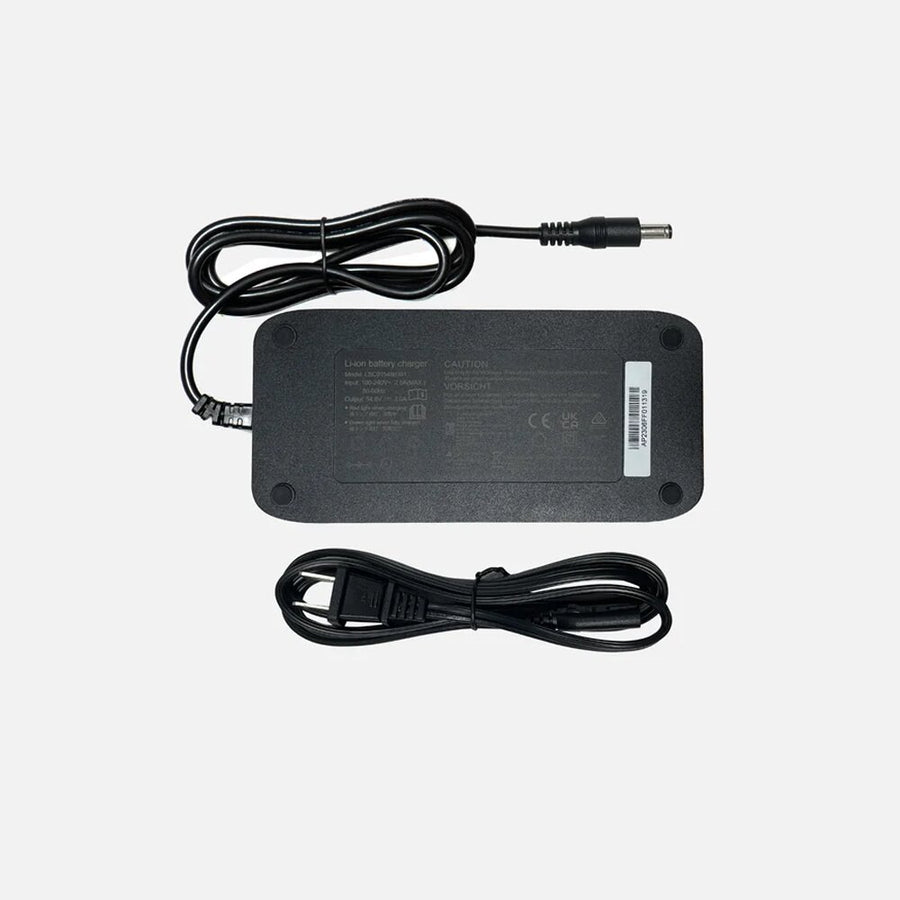Engwe Battery Charger