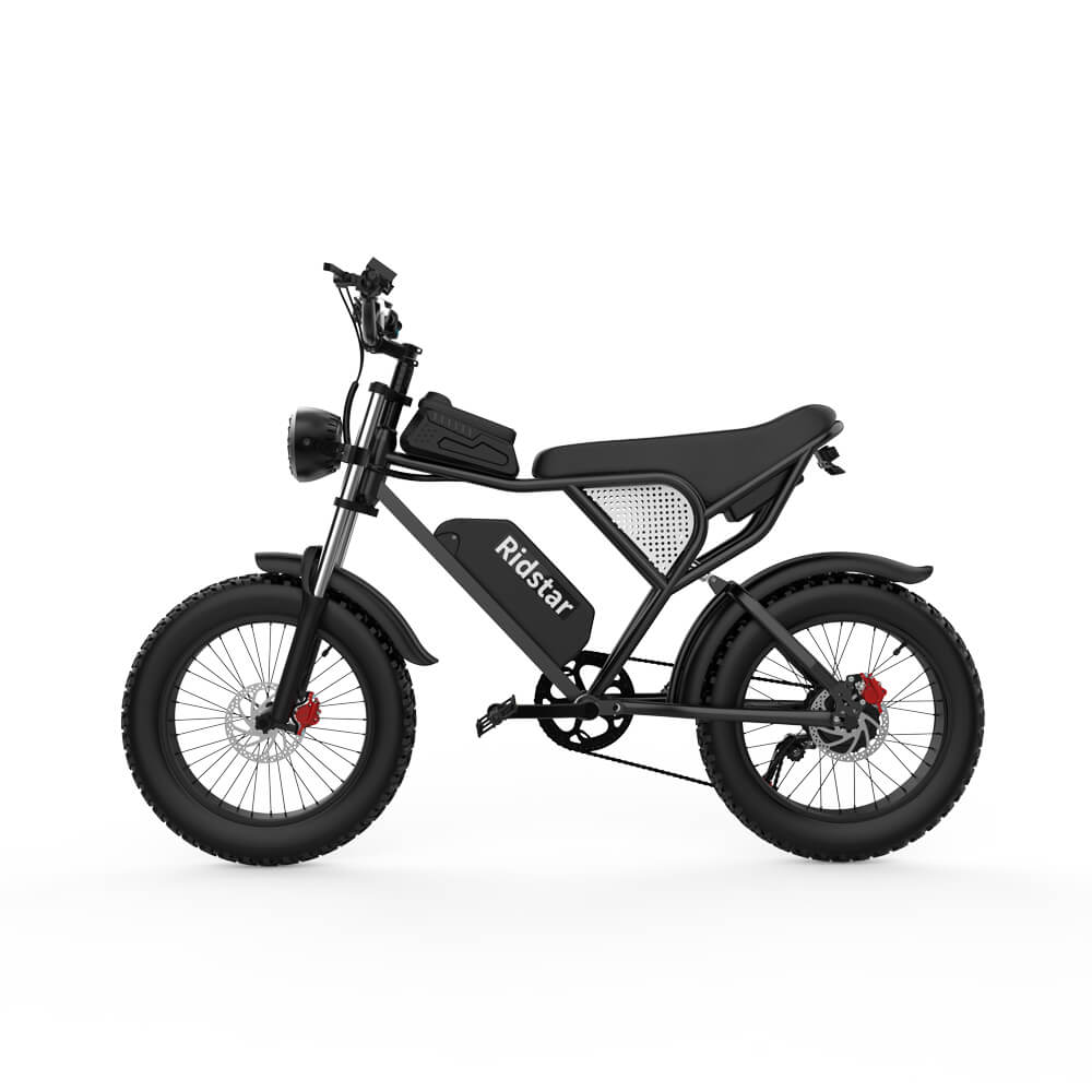 Ridstar Q20 PRO 2000W Dual Motor Electric Bike Ridstar Q20 PRO 2000W Dual Motor Electric Bike