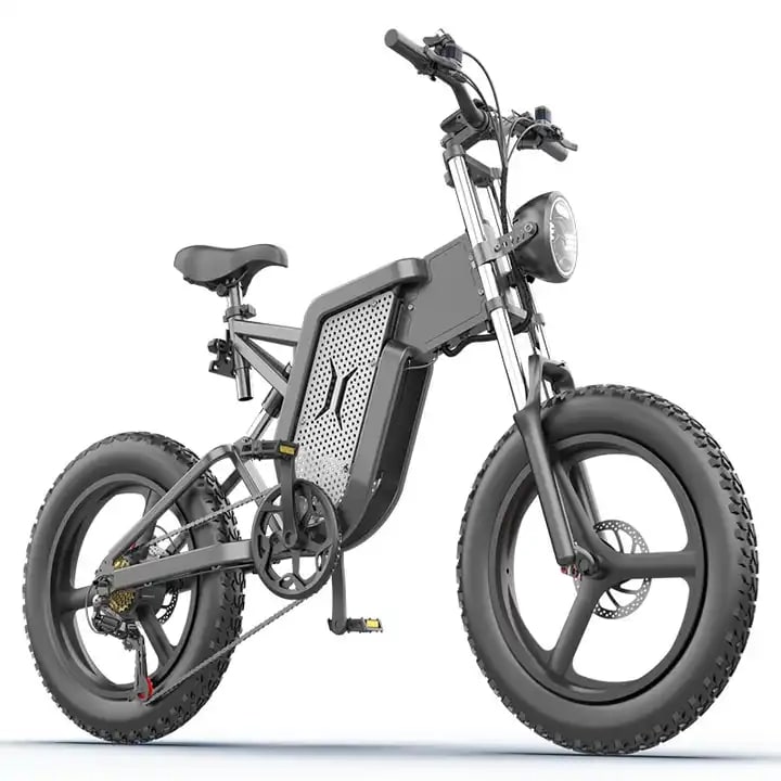 xxcy ms01 elektrofahrrad EKX X20 Electric Bike