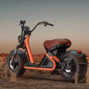 Copy of Motorcycle Golf Cart, Single Rider Golf Scooter 3000W M9 - CITI ESCOOTER