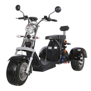 Citycoco trike, 60V 40AH, Ship from Holland, EEC/COC certified, Free Shipping and TAX - Fanco Electric Scooter manufacturer