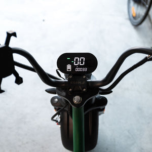 electric scooter 75km