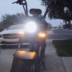 M2 citycoco scooter