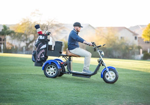 Golf Trike Scooter 3 Wheel Fat Tire Citycoco - CITI ESCOOTER