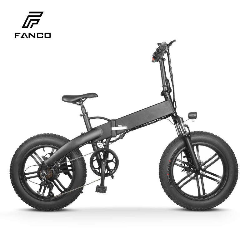 20 inch electric bicycle Electric mountain bike 20 inch 500W