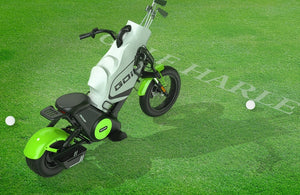 Motorcycle Golf Cart, Single Rider Golf Scooter 2000W M9 - CITI ESCOOTER
