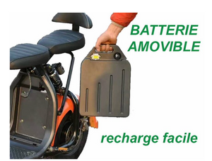 electric citycoco battery