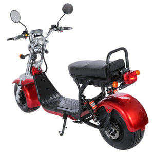 Big Wheel Electric Scooter coco bikes - Fanco Electric Scooter manufacturer