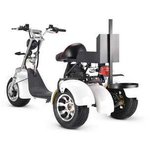 Golf Trike Scooter 3 Wheel Fat Tire Citycoco - CITI ESCOOTER