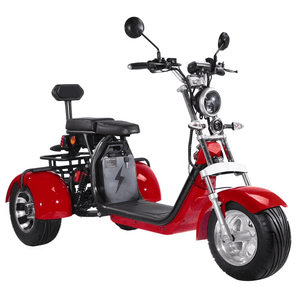 EEC COC Approved citycoco trike 3 Wheel Electric Cargo Scooter with Delivery Basket free shipping free tax to door - Fanco Electric Scooter manufacturer