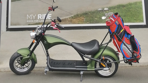 Street legal Fat tire golf scooter 2000W M1 - Fanco Electric Scooter manufacturer