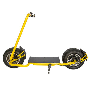 Fat Tire Scooter 2000W, Side Fork Sports Electric Citycoco Scooters - Fanco Electric Scooter manufacturer