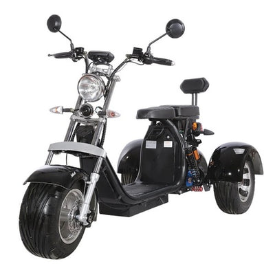 ゴジータ  SH6-CP3 Shansu three wheeler CP-3 turning light | CITI ESCOOTER