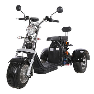 Fat tire tricycle for adults trike citycoco 2000w with Delivery Basket free shipping and tax - CITI ESCOOTER